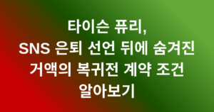 타이슨 퓨리, SNS 은퇴 선언 뒤에 숨겨진 거액의 복귀전 계약 조건 알아보기