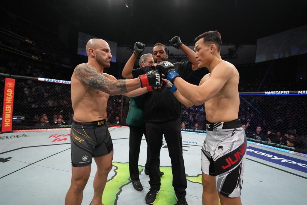 격투기 은어 총정리! 인자강, 인자약, 평체 뜻과 대표적인 UFC 선수들 체형까지