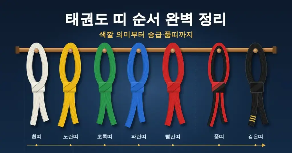 흰띠부터 노란띠·초록띠·파란띠·빨간띠, 품띠와 검은띠까지 매듭지은 태권도 띠들이 나무 걸이에 순서대로 걸려 있고 위에 "태권도 띠 순서 완벽 정리" 제목이 적힌 그래픽